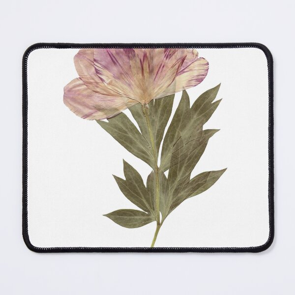 Item preview, dried flower designed and sold by sukilin.