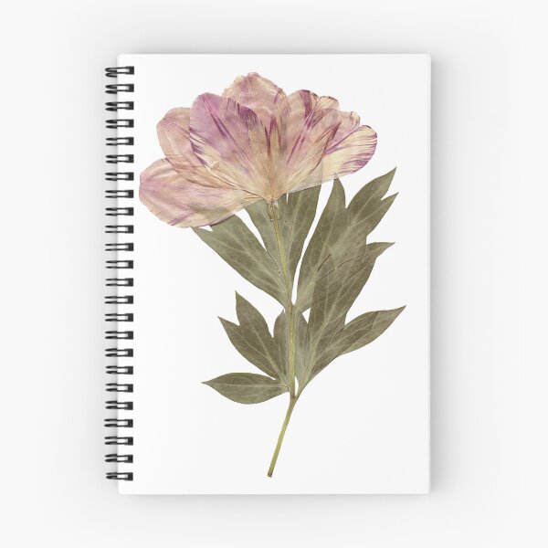 Item preview, dried flower designed and sold by sukilin.