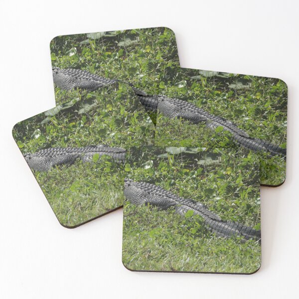 Item preview, Gator Pose designed and sold by MatthewThomasDaniels.