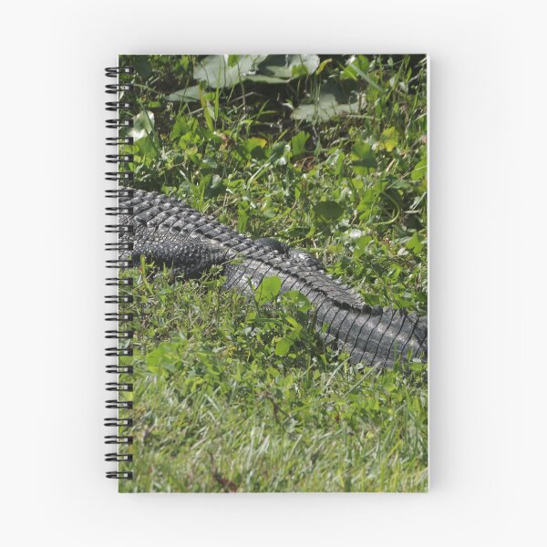 Artikelvorschau, Alligatorpose entworfen und verkauft von MatthewThomasDaniels.