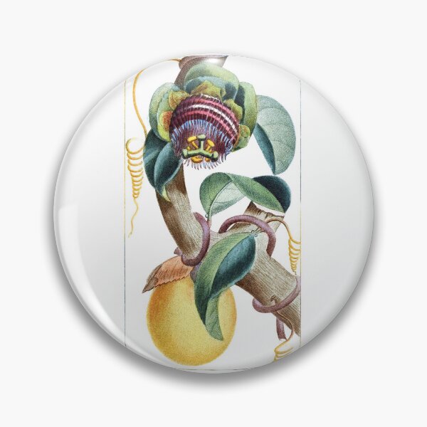Item preview, Water Lemon Passionfruit Plant with Fruit designed and sold by hec60504.