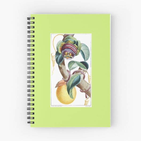 Item preview, Water Lemon Passionfruit Plant with Fruit designed and sold by hec60504.