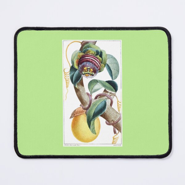 Item preview, Water Lemon Passionfruit Plant with Fruit designed and sold by hec60504.