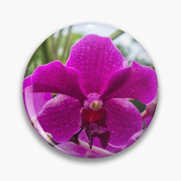 Item preview, Purple Orchid (Papilionanda Mamo) - Vanda Alliance Hybrid | Exotic Tropical Floral & Botanical Art designed and sold by Ross.A.Campbell.