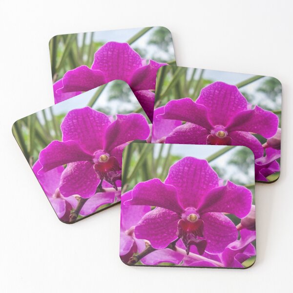 Item preview, Purple Orchid (Papilionanda Mamo) - Vanda Alliance Hybrid | Exotic Tropical Floral & Botanical Art designed and sold by Ross.A.Campbell.