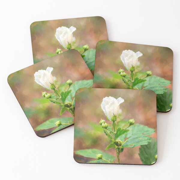 Item preview, Impressionist White Blackberry Bloom in Arkansas designed and sold by Blossom-Breeze.