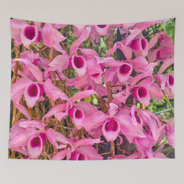 Item preview, Pink Epiphytic Orchid (Dendrobium anosmum) - Sanggumay Purple Cascade | Exotic Tropical Floral & Botanical Art designed and sold by Ross.A.Campbell.