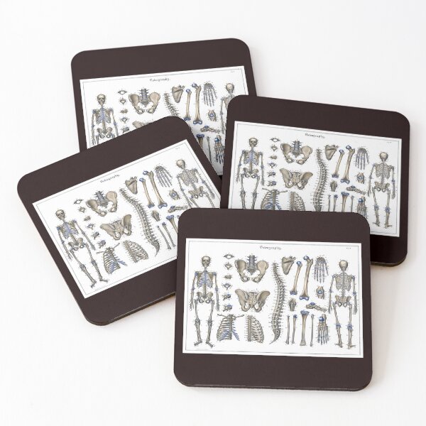 Item preview, Bones - Skeleton and Osteography designed and sold by hec60504.