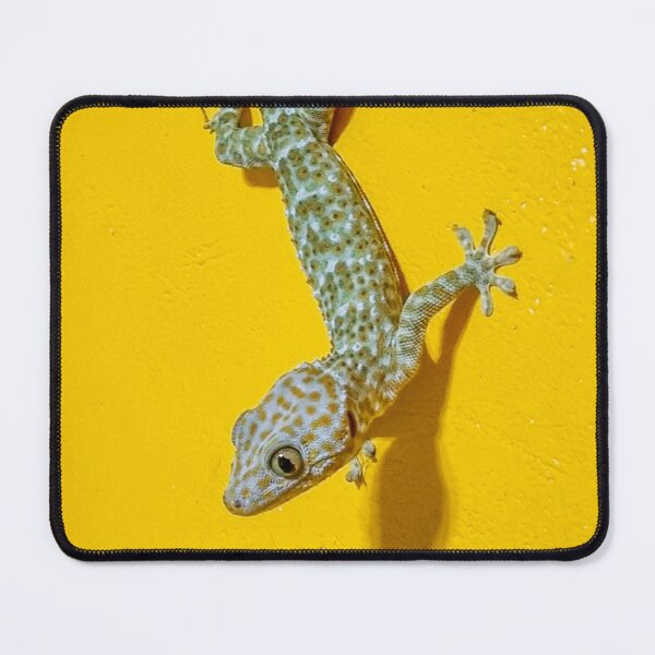 Item preview, Tokay Gecko Close Up - Gekko gecko | Exotic Reptile & Vibrant Wildlife Nature Art designed and sold by Ross.A.Campbell.