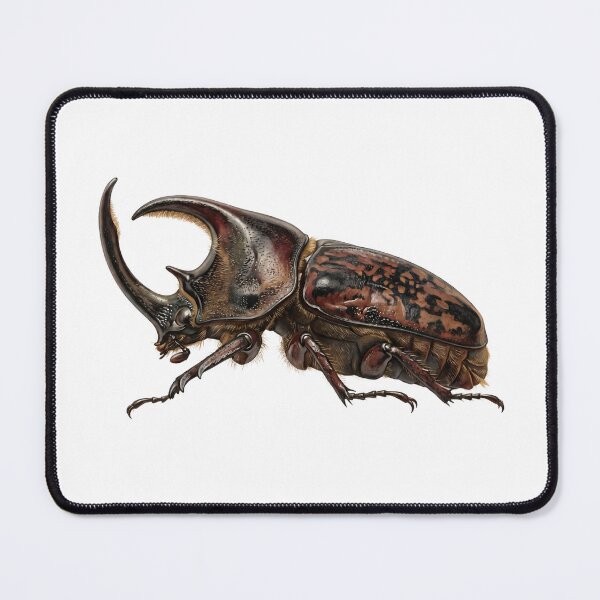 Item preview, Majestic Goliath Beetle designed and sold by Chaoscience.