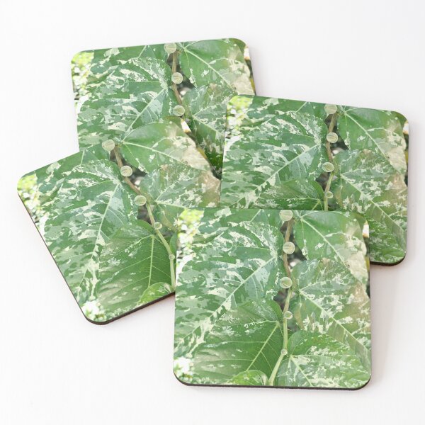 Item preview, Nature's Rhythm: Variegated Leaves and Tiny Fruits designed and sold by sky earth human.