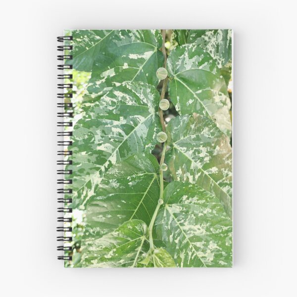 Item preview, Nature's Rhythm: Variegated Leaves and Tiny Fruits designed and sold by sky earth human.