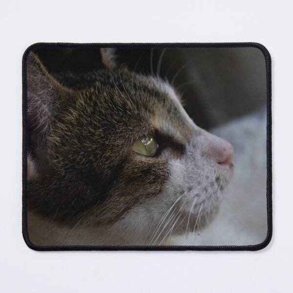 Item preview, Cat Looking Afar_02 designed and sold by ROSE ANN BANILAR.