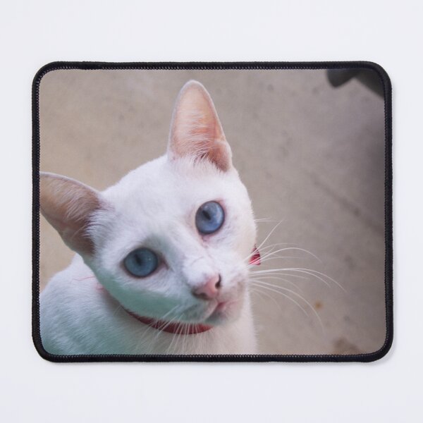 Item preview, Blue Eyed White Cat designed and sold by ROSE ANN BANILAR.