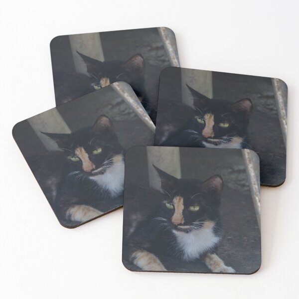 Item preview, Calm Kitty designed and sold by ROSE ANN BANILAR.
