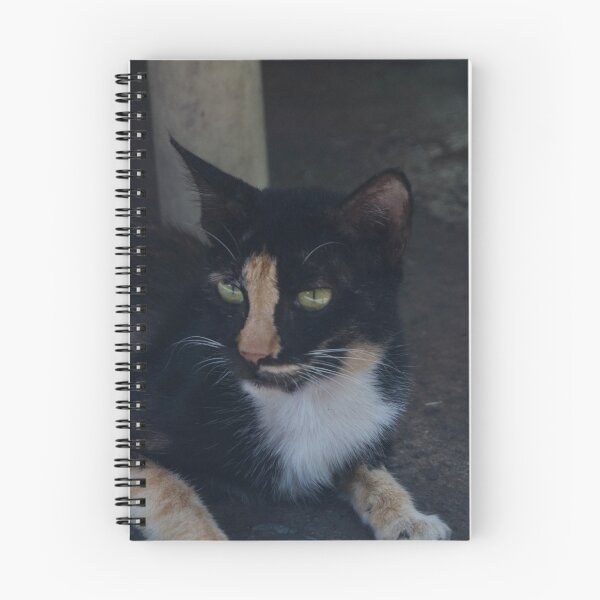 Item preview, Calm Kitty designed and sold by ROSE ANN BANILAR.