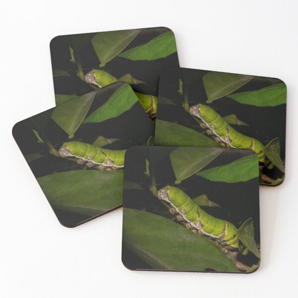 Item preview, Lime Swallowtail Caterpillar designed and sold by ROSE ANN BANILAR.