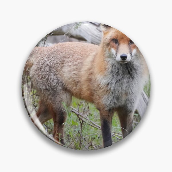 Item preview, Wild Fox designed and sold by Robbie Alexander.