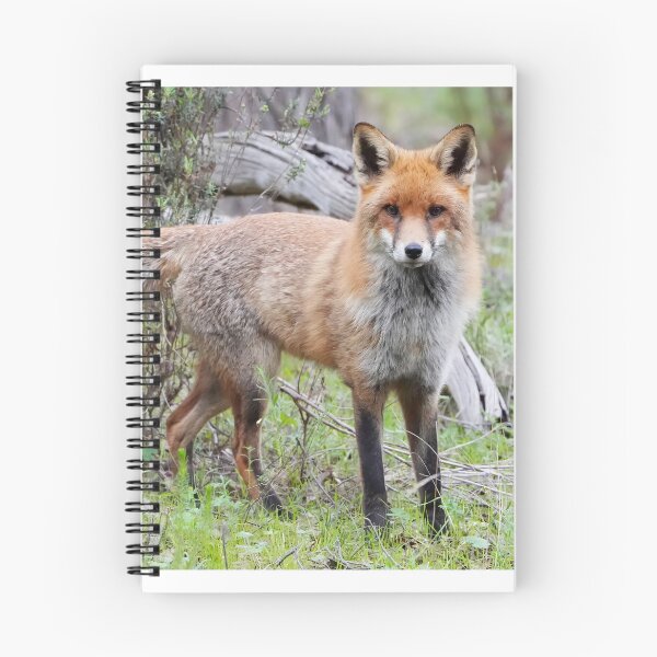 Item preview, Wild Fox designed and sold by Robbie Alexander.