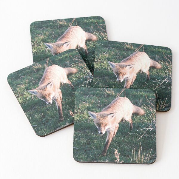 Item preview, Wild Fox On The Prowl designed and sold by Robbie Alexander.