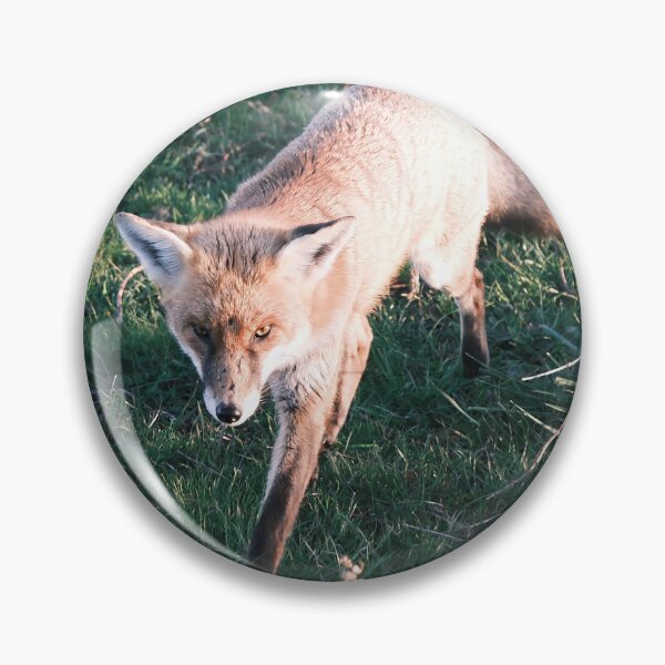 Item preview, Wild Fox On The Prowl designed and sold by Robbie Alexander.