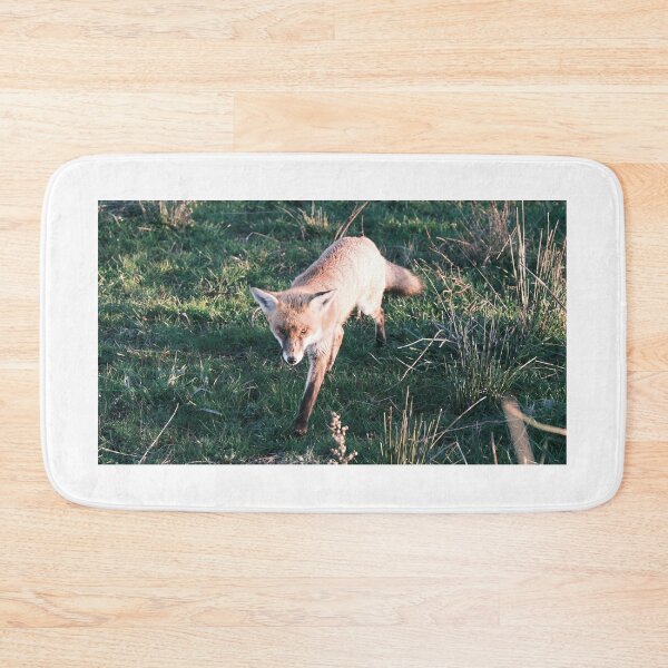 Item preview, Wild Fox On The Prowl designed and sold by Robbie Alexander.