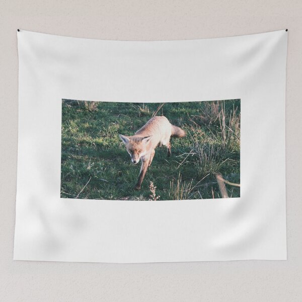 Item preview, Wild Fox On The Prowl designed and sold by Robbie Alexander.