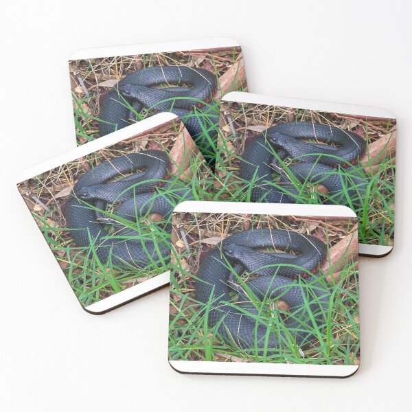 Item preview, Black Snake designed and sold by Robbie Alexander.