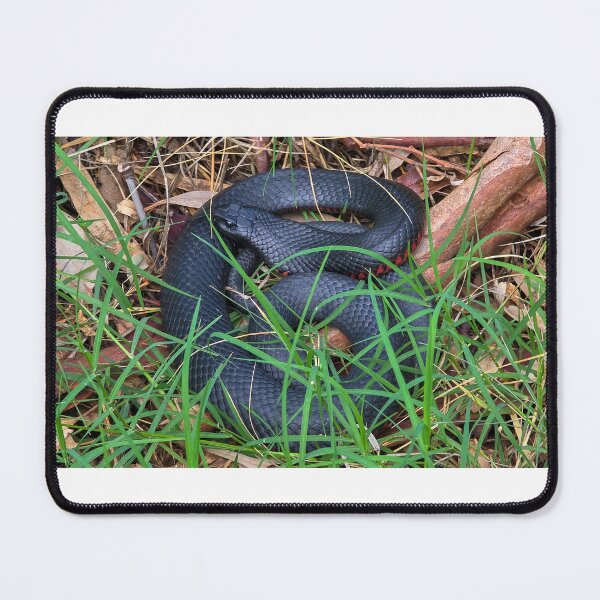 Item preview, Black Snake designed and sold by Robbie Alexander.