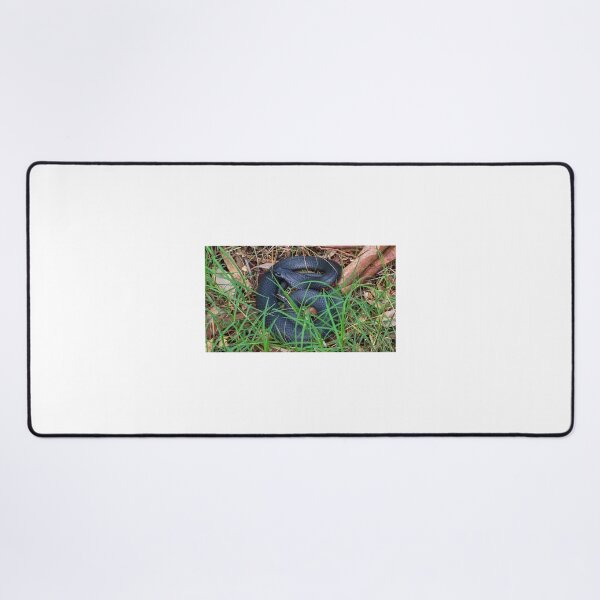 Item preview, Black Snake designed and sold by Robbie Alexander.