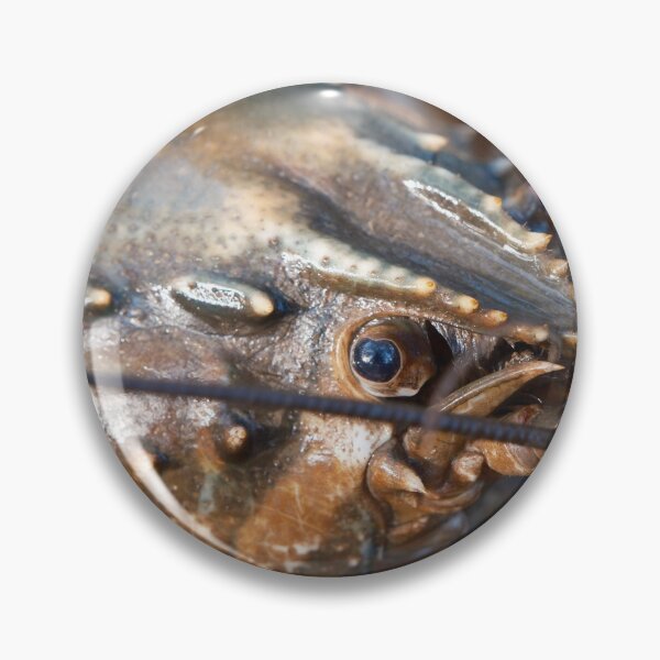 Item preview, Murray Crayfish designed and sold by Robbie Alexander.