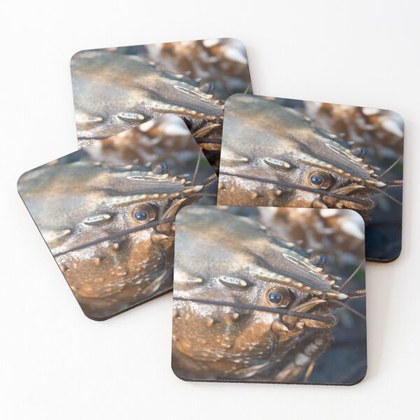 Item preview, Murray Crayfish designed and sold by Robbie Alexander.