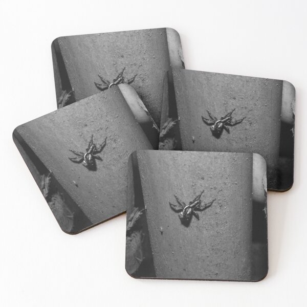 Item preview, B&W - Pantropical Jumping Spider designed and sold by ROSE ANN BANILAR.