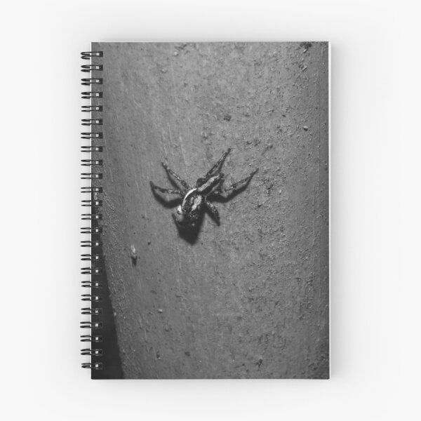 Item preview, B&W - Pantropical Jumping Spider designed and sold by ROSE ANN BANILAR.