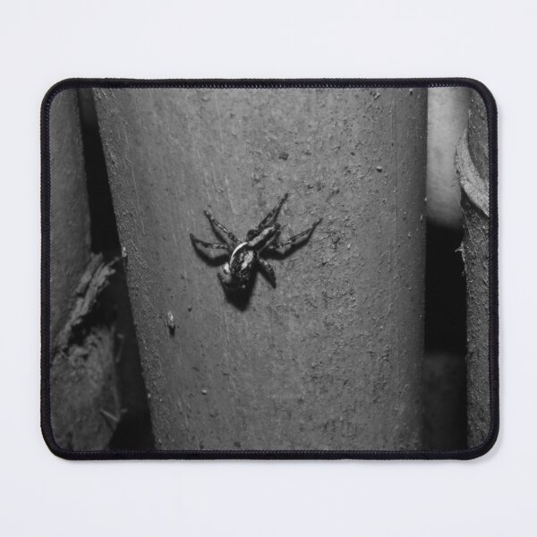 Item preview, B&W - Pantropical Jumping Spider designed and sold by ROSE ANN BANILAR.