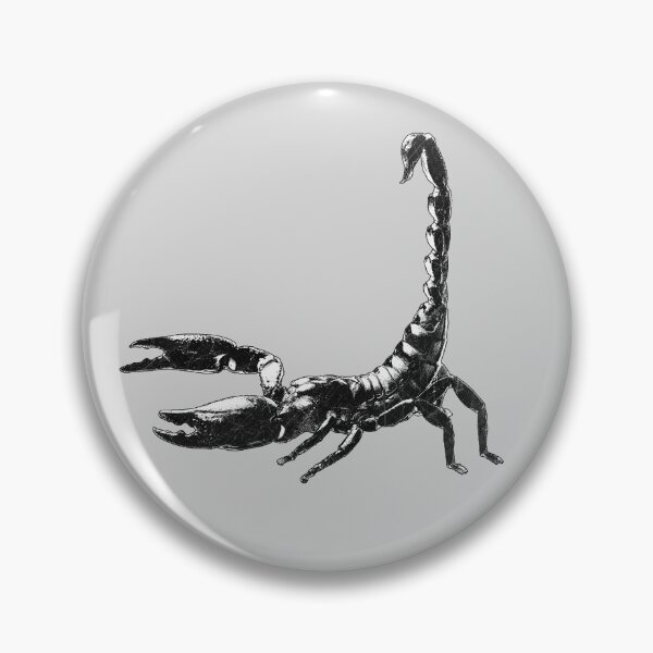 Item preview, Emperor Scorpion Tail Raised Stinger Dark Nature designed and sold by Ghoul Enterprises.