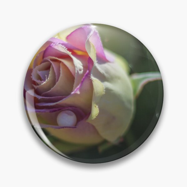 Item preview, Close-Up Purple and Cream Rose Blossom With Dew Drop, Soft Bokeh Garden Mood designed and sold by Nmallia.