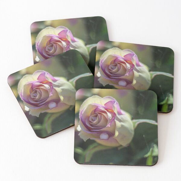 Item preview, Close-Up Purple and Cream Rose Blossom With Dew Drop, Soft Bokeh Garden Mood designed and sold by Nmallia.