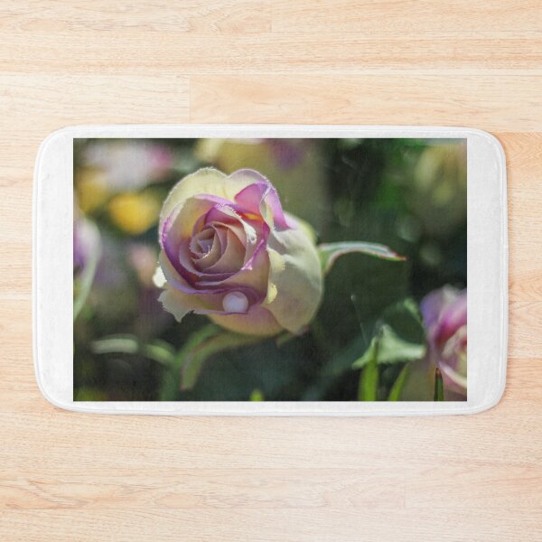 Item preview, Close-Up Purple and Cream Rose Blossom With Dew Drop, Soft Bokeh Garden Mood designed and sold by Nmallia.