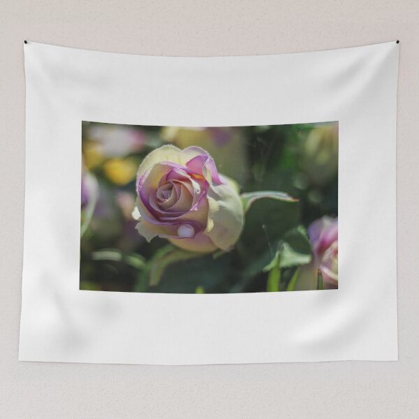 Item preview, Close-Up Purple and Cream Rose Blossom With Dew Drop, Soft Bokeh Garden Mood designed and sold by Nmallia.