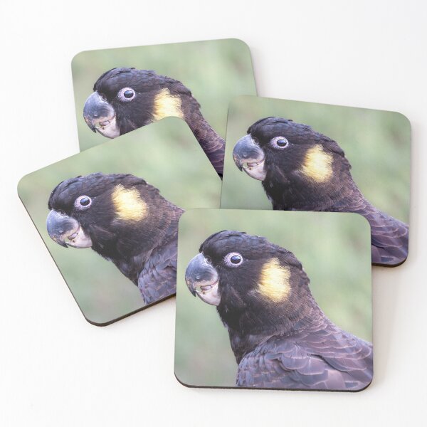Item preview, Yellow-tailed Black Cockatoo designed and sold by stephendean.