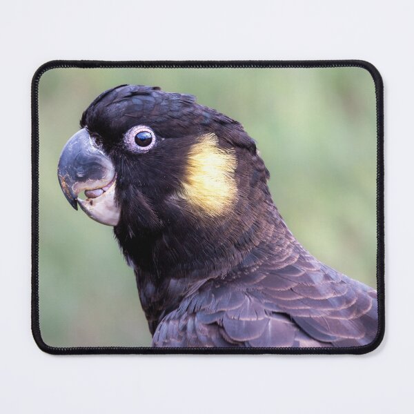 Item preview, Yellow-tailed Black Cockatoo designed and sold by stephendean.