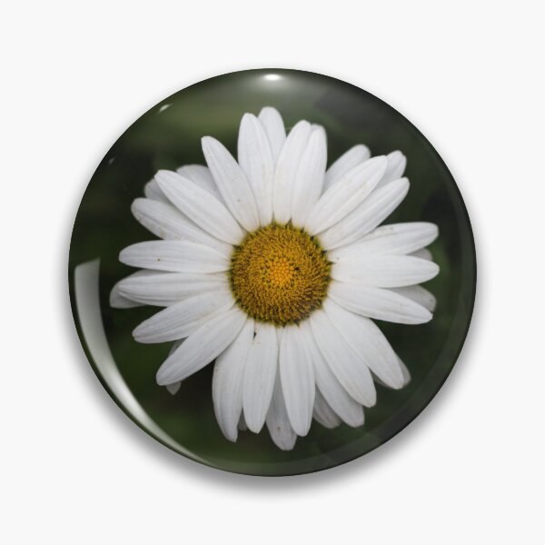 Item preview, Daisy pattern designed and sold by cardesign.