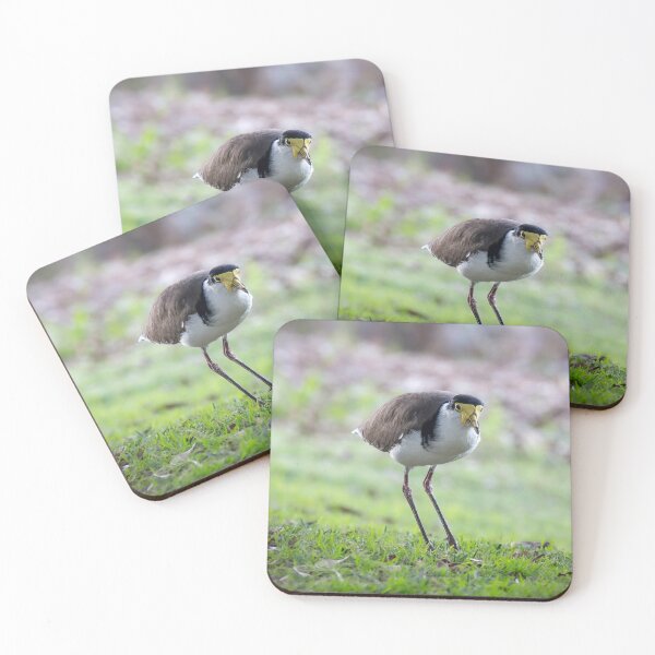 Item preview, Masked Lapwing designed and sold by stephendean.