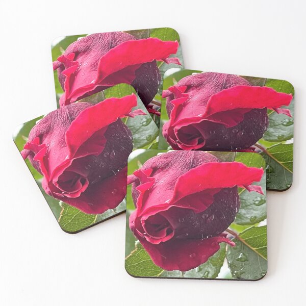Item preview, Love, red rose, Valentines days, symbol with love BIPHOTO designed and sold by BIPHOTONEWS.