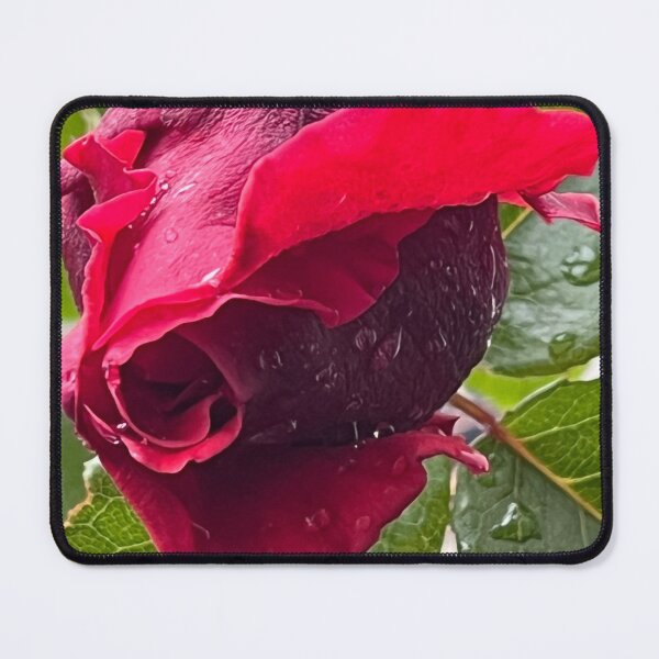 Item preview, Love, red rose, Valentines days, symbol with love BIPHOTO designed and sold by BIPHOTONEWS.
