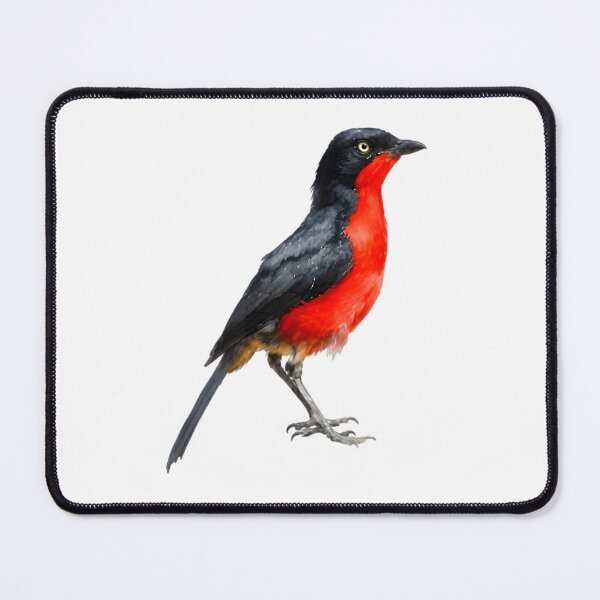 Item preview, Black-headed Gonolek designed and sold by HOMETOWN86.