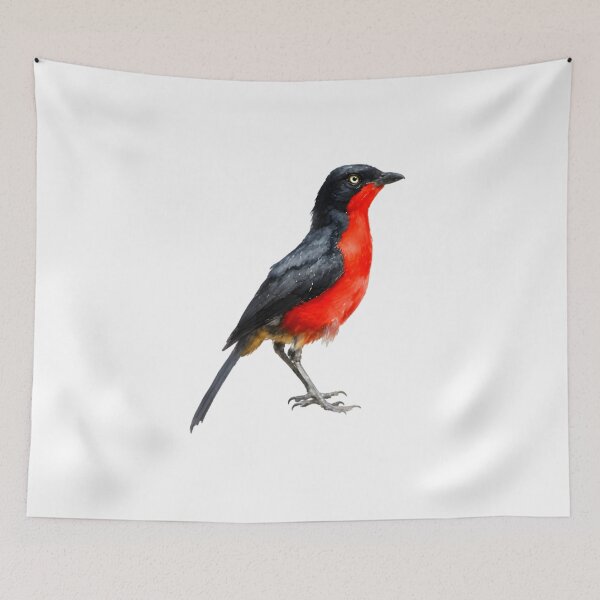 Item preview, Black-headed Gonolek designed and sold by HOMETOWN86.