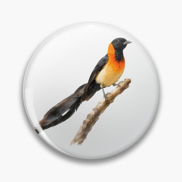 Item preview, Sahel Paradise-Whydah designed and sold by HOMETOWN86.