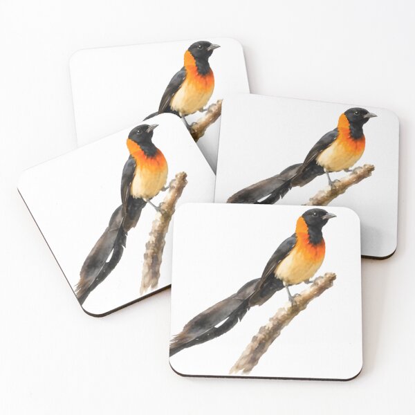 Item preview, Sahel Paradise-Whydah designed and sold by HOMETOWN86.